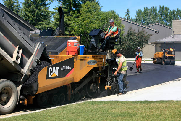 Best Custom Driveway Pavers  in Ionia, MI